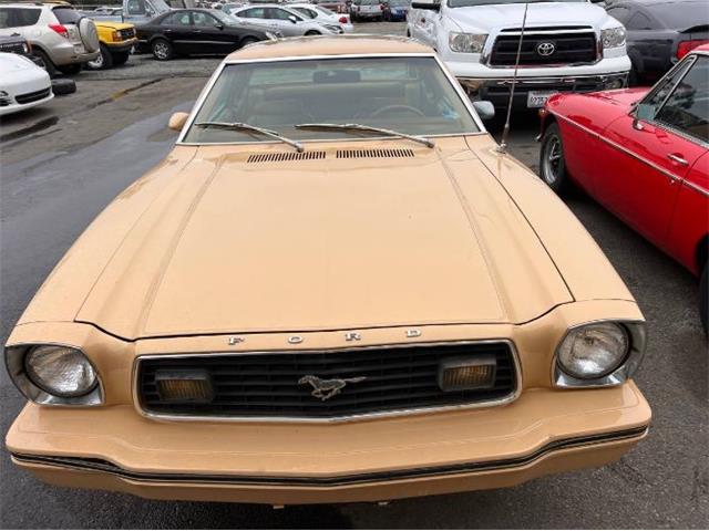 1978 Ford Mustang (CC-1736070) for sale in Cadillac, Michigan