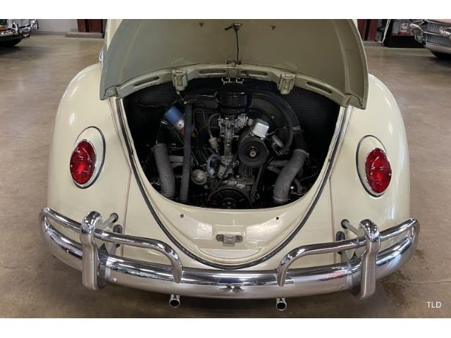 1965 Volkswagen Beetle for Sale | ClassicCars.com | CC-1736310