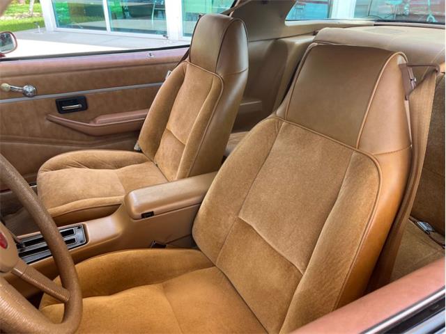 1979 Chevrolet Camaro Z28 (CC-1736506) for sale in Palmetto, Florida