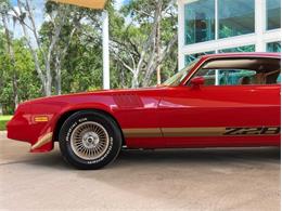 1979 Chevrolet Camaro Z28 (CC-1736506) for sale in Palmetto, Florida