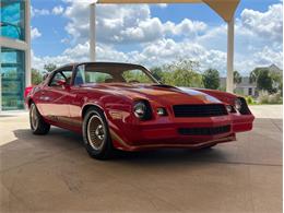1979 Chevrolet Camaro Z28 (CC-1736506) for sale in Palmetto, Florida