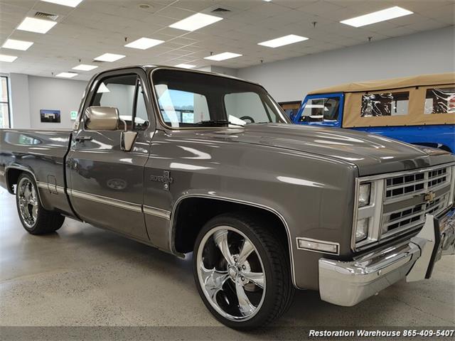 1982 Chevrolet C10 (CC-1736914) for sale in Knoxville, Tennessee