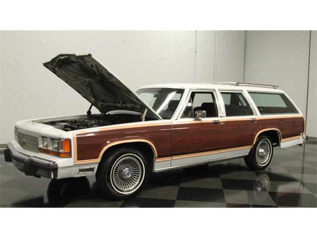 1989 Ford Crown Victoria (CC-1737307) for sale in Lithia Springs, Georgia