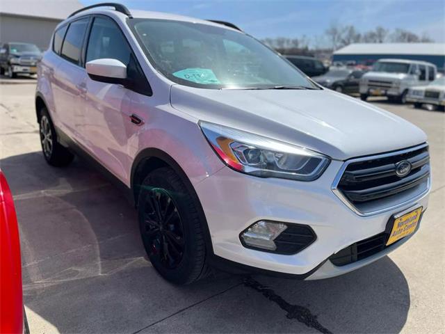 2019 Ford Escape (CC-1737385) for sale in Webster, South Dakota