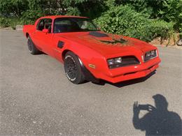 1978 Pontiac Firebird Trans Am (CC-1738002) for sale in Annandale, Minnesota