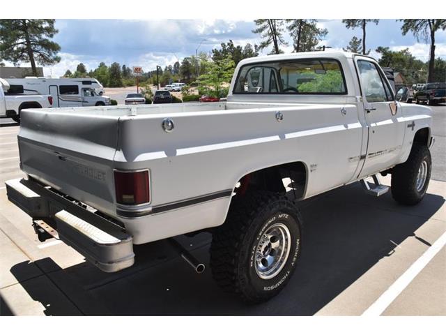 1981 Chevrolet K-20 (CC-1738138) for sale in Payson, Arizona