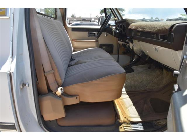 1981 Chevrolet K-20 (CC-1738138) for sale in Payson, Arizona