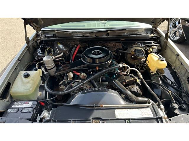 1980 Chevrolet Malibu (CC-1738350) for sale in Addison, Illinois