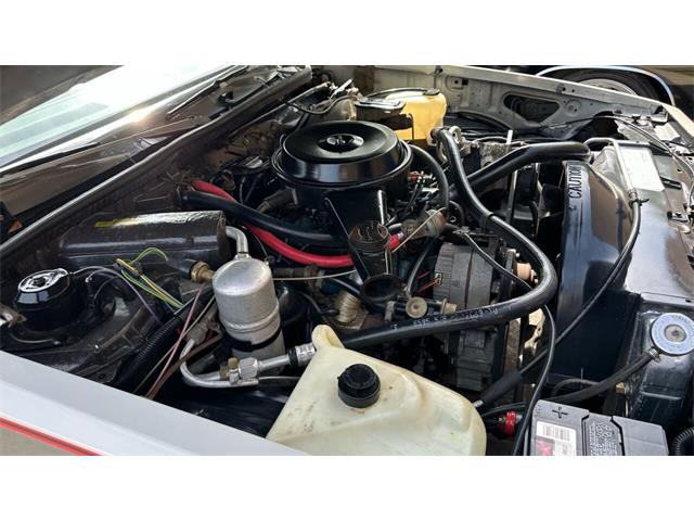 1980 Chevrolet Malibu (CC-1738350) for sale in Addison, Illinois