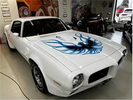 1973 Pontiac Firebird (CC-1738475) for sale in Brantford, Ontario