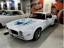 1973 Pontiac Firebird (CC-1738475) for sale in Brantford, Ontario