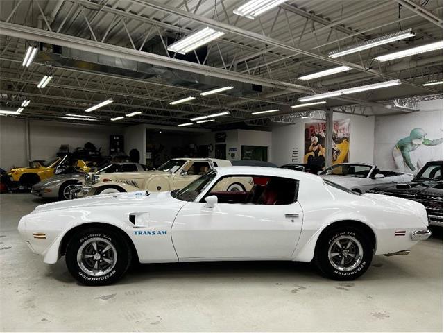 1973 Pontiac Firebird (CC-1738475) for sale in Brantford, Ontario