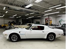 1973 Pontiac Firebird (CC-1738475) for sale in Brantford, Ontario