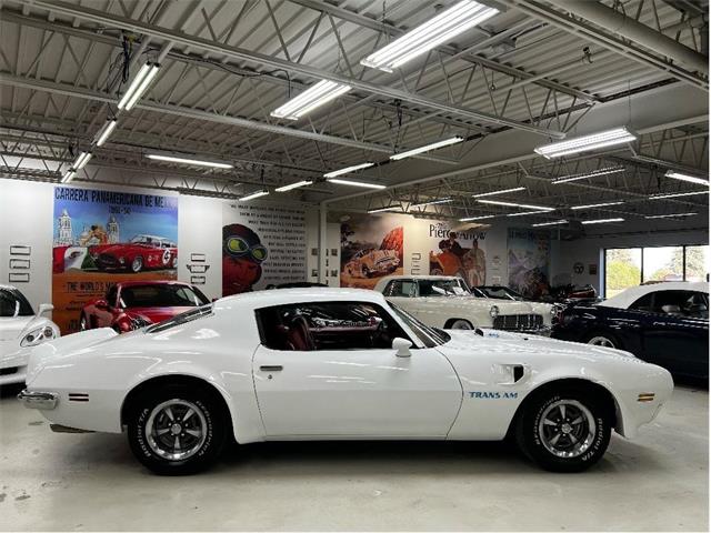 1973 Pontiac Firebird (CC-1738475) for sale in Brantford, Ontario