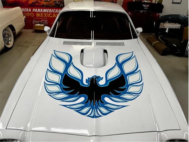 1973 Pontiac Firebird (CC-1738475) for sale in Brantford, Ontario