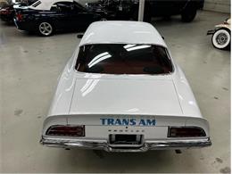 1973 Pontiac Firebird (CC-1738475) for sale in Brantford, Ontario