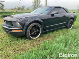 2005 Ford Mustang (CC-1730865) for sale in , 