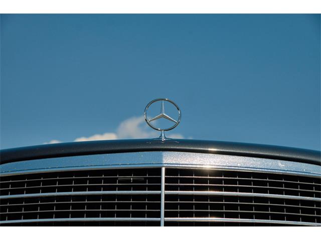 3,413 Mercedes Benz Logo Stock Photos, High-Res Pictures, and Images -  Getty Images