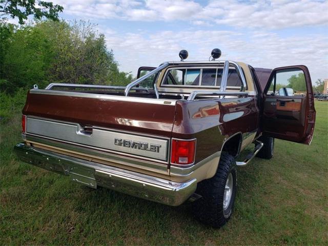 1983 Chevrolet C10 (CC-1738831) for sale in Hobart, Indiana