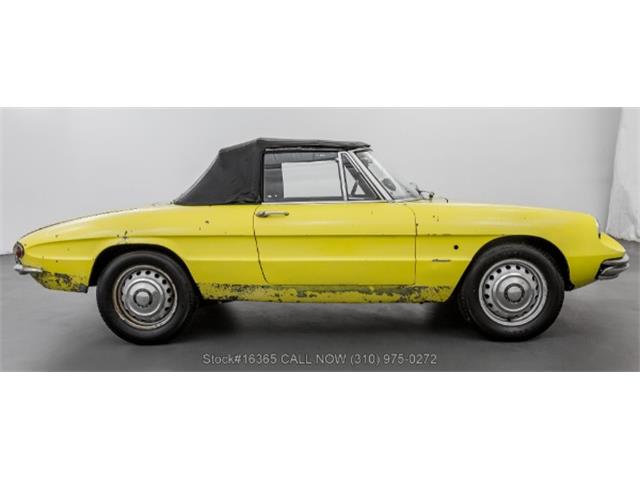 1967 Alfa Romeo Giulia Spider (CC-1739148) for sale in Beverly Hills, California