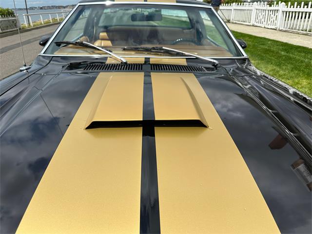 1978 Ford Mustang (CC-1739267) for sale in Milford City, Connecticut