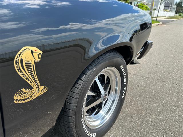 1978 Ford Mustang (CC-1739267) for sale in Milford City, Connecticut