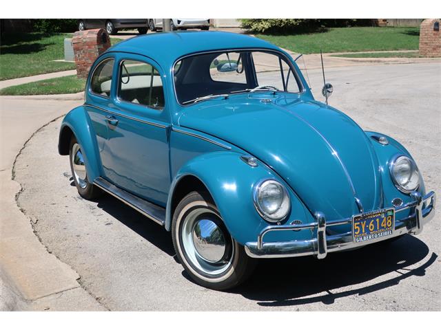 1964 Volkswagen Beetle (CC-1739416) for sale in Denton, Texas