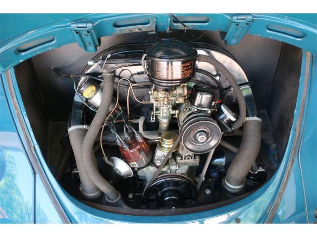 1964 Volkswagen Beetle for Sale | ClassicCars.com | CC-1739416