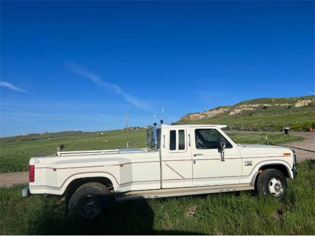 1986 Ford F250 (CC-1739529) for sale in Cadillac, Michigan