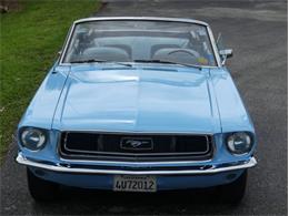 1968 Ford Mustang (CC-1739639) for sale in Palmetto, Florida