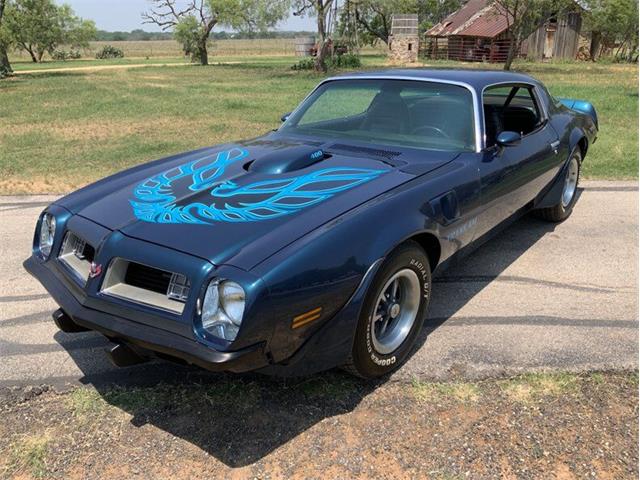 1975 Pontiac Firebird (CC-1739876) for sale in Fredericksburg, Texas