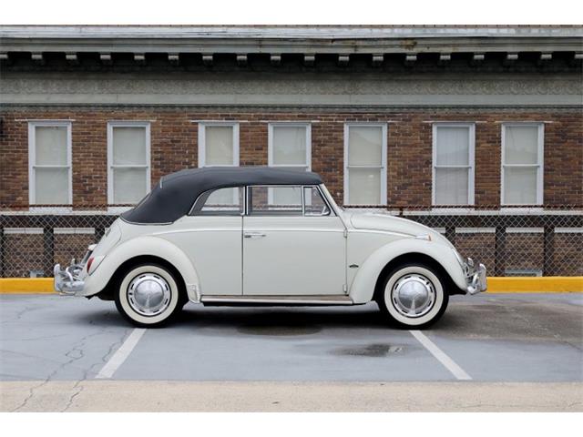 1964 Volkswagen Beetle For Sale Cc 1741281 0070