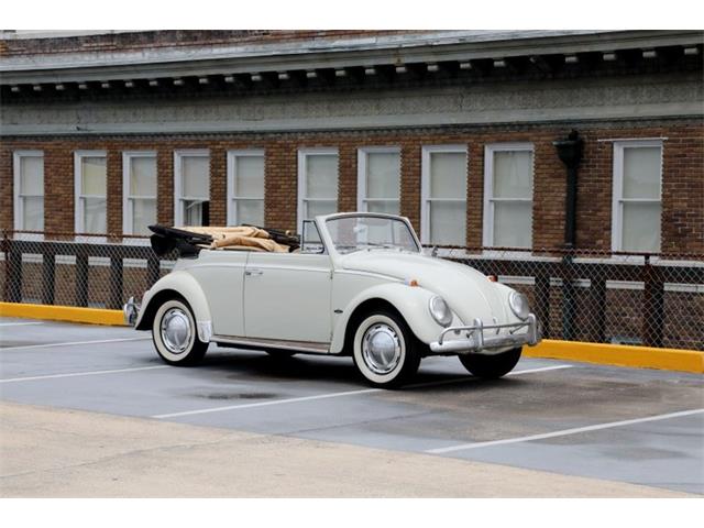 1964 Volkswagen Beetle (CC-1741281) for sale in Savannah, Georgia