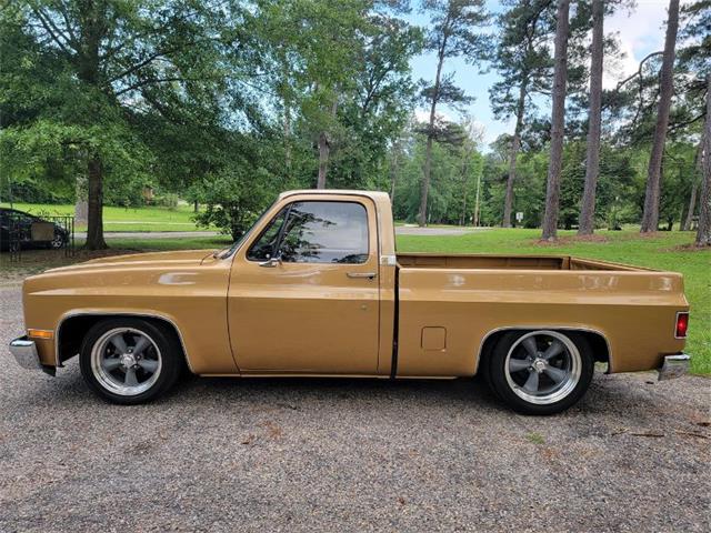 1985 Chevrolet C10 (CC-1741443) for sale in Hobart, Indiana