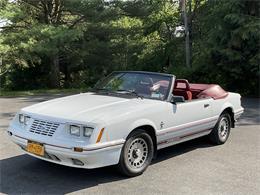 1984 Ford Mustang GT350 (CC-1741643) for sale in East Chatham , New York