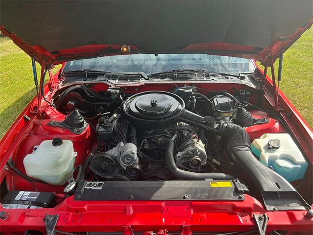 1988 Chevrolet Camaro (CC-1740182) for sale in Lamont, Alberta