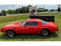 1976 Pontiac Firebird (CC-1741865) for sale in Troy, Michigan