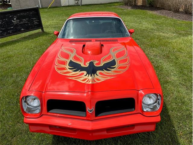 1976 Pontiac Firebird (CC-1741865) for sale in Troy, Michigan