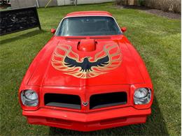 1976 Pontiac Firebird (CC-1741865) for sale in Troy, Michigan