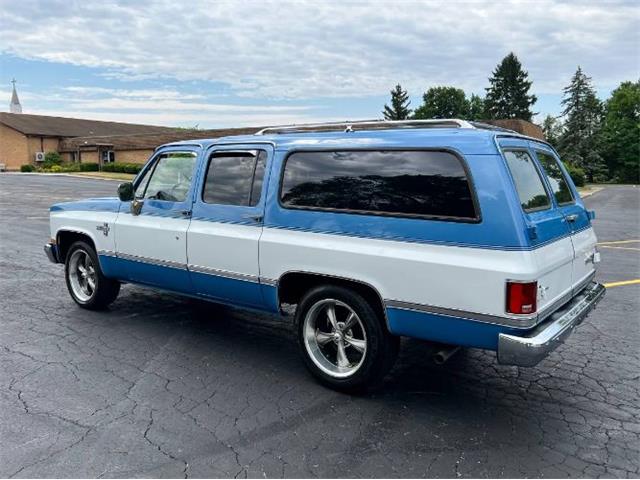 1987 Chevrolet Suburban (CC-1742019) for sale in Cadillac, Michigan