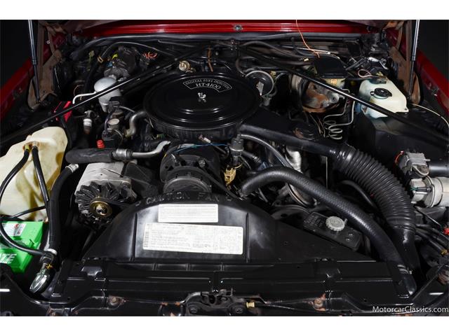 1983 Cadillac Seville (CC-1742034) for sale in Farmingdale, New York