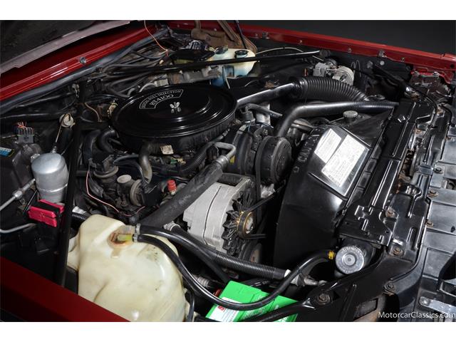1983 Cadillac Seville (CC-1742034) for sale in Farmingdale, New York