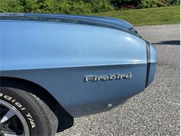 1969 Pontiac Firebird (CC-1742252) for sale in West Chester, Pennsylvania
