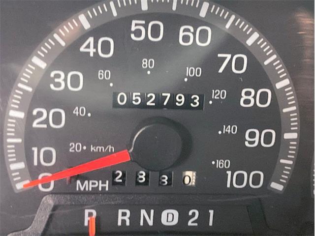 1997 Ford Expedition (CC-1742371) for sale in Depew, New York