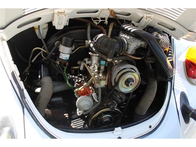 1979 Volkswagen Beetle for Sale | ClassicCars.com | CC-1742607