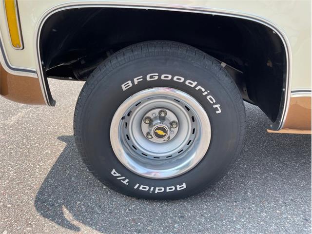 1979 Chevrolet Silverado (CC-1742658) for sale in Ramsey, Minnesota