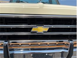 1979 Chevrolet Silverado (CC-1742658) for sale in Ramsey, Minnesota