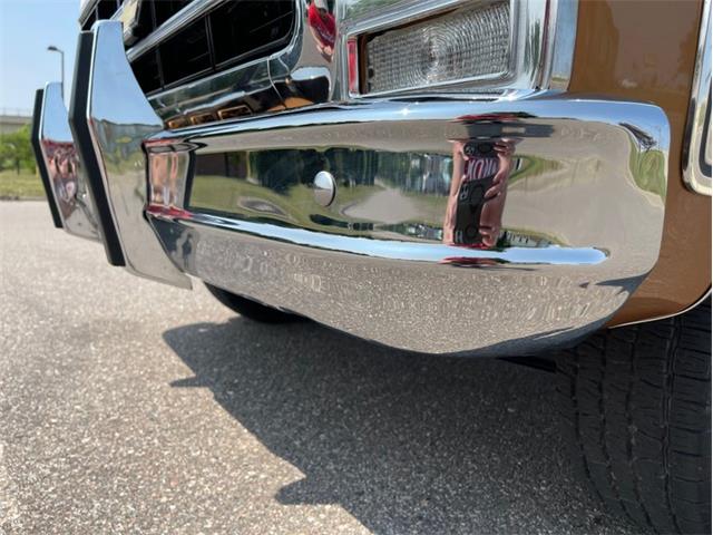 1979 Chevrolet Silverado (CC-1742658) for sale in Ramsey, Minnesota