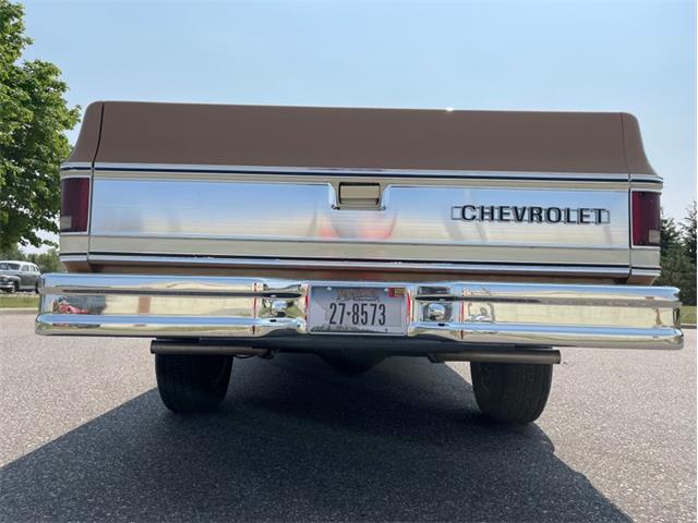 1979 Chevrolet Silverado (CC-1742658) for sale in Ramsey, Minnesota
