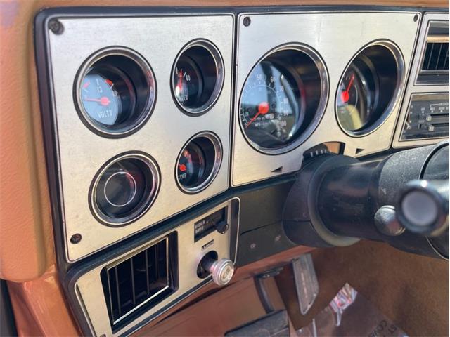 1979 Chevrolet Silverado (CC-1742658) for sale in Ramsey, Minnesota